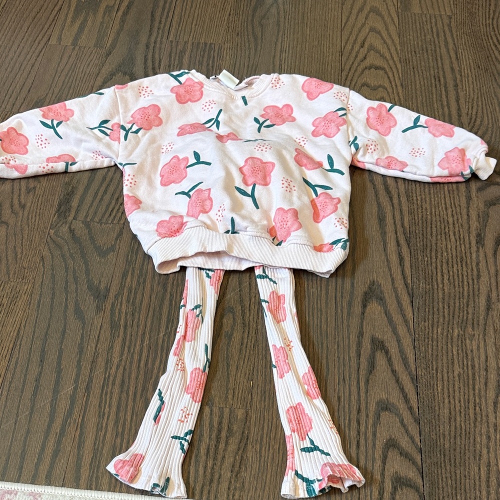 Zara Pink Floral Sweatshirt Set with Green Stems